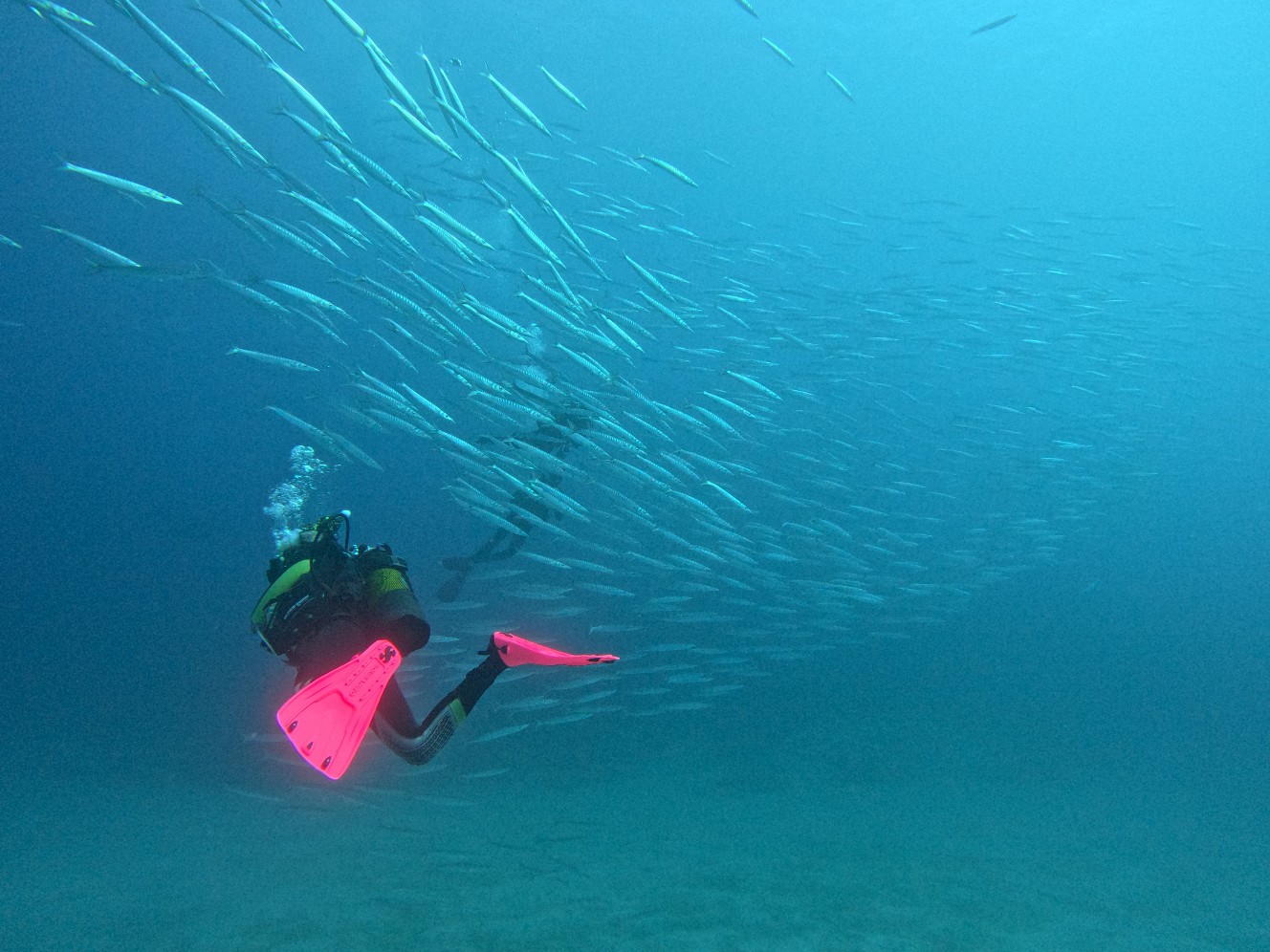 One Two Dive Tenerife – Foto 3