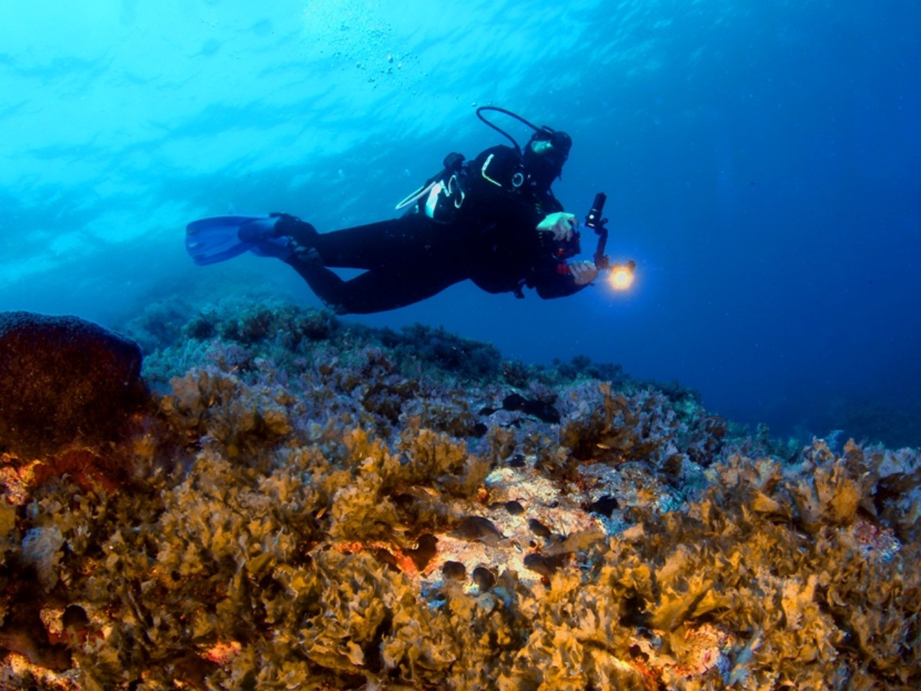Sea World Scuba Diving Center Kos – Foto 5